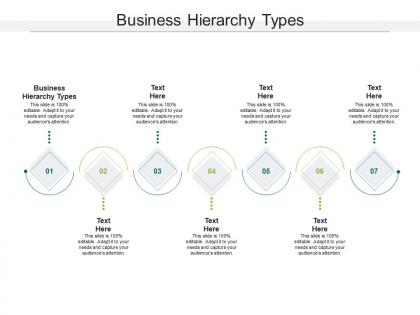 Business hierarchy types ppt powerpoint presentation infographic template structure cpb