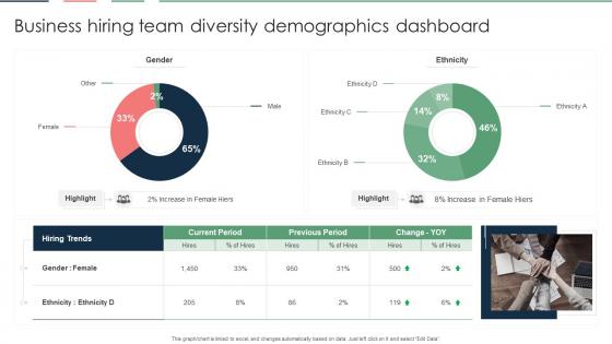 Business Hiring Team Diversity Demographics Dashboard