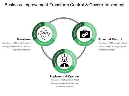 Business improvement transform control and govern implement