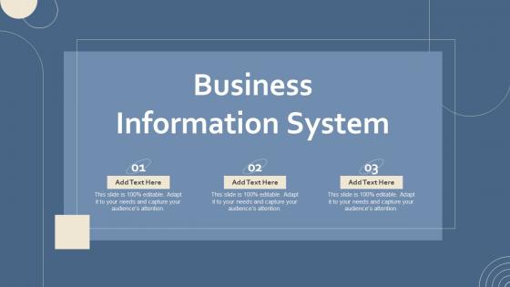 Business Information System Ppt Powerpoint Presentation File Aids