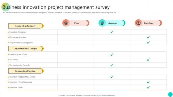 Business Innovation Project Management Survey