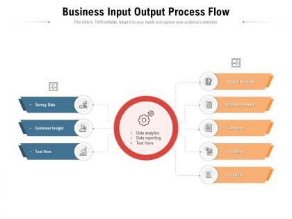 Business input output process flow