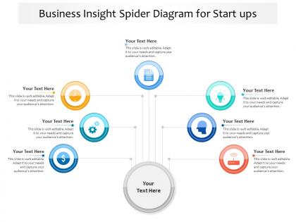 Business insight spider diagram for start ups