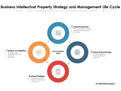 Business intellectual property strategy and management life cycle