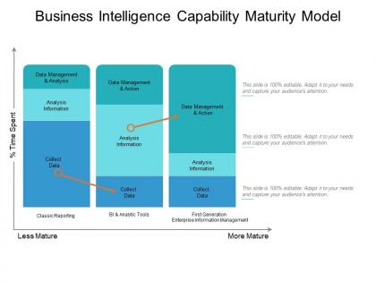 Business intelligence capability maturity model