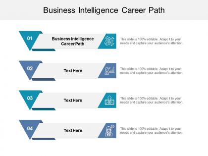 Business intelligence career path ppt powerpoint presentation gallery cpb