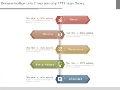 Business intelligence in entrepreneurship ppt images gallery