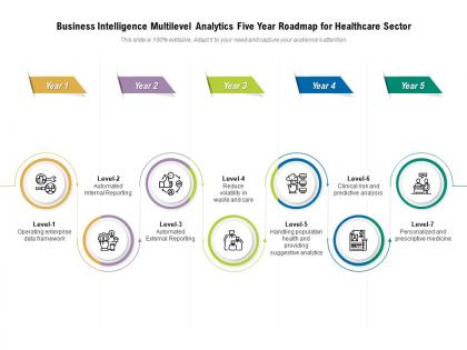 Business intelligence multilevel analytics five year roadmap for healthcare sector