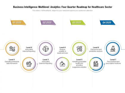 Business intelligence multilevel analytics four quarter roadmap for healthcare sector