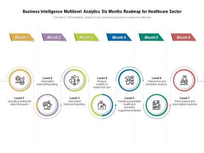Business intelligence multilevel analytics six months roadmap for healthcare sector