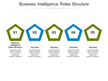 Business intelligence roles structure ppt powerpoint presentation file example cpb