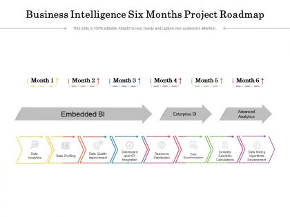 Business intelligence six months project roadmap