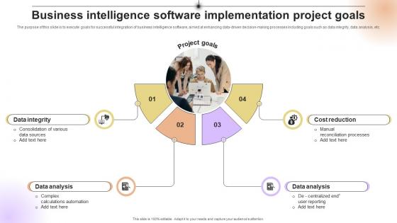 Business Intelligence Software Implementation Project Goals