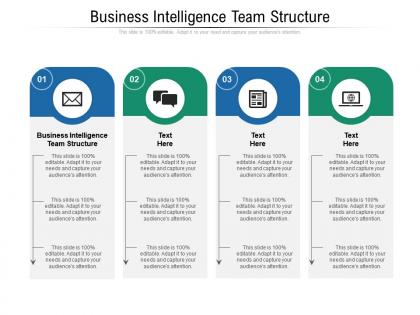 Business intelligence team structure ppt powerpoint presentation show designs download cpb