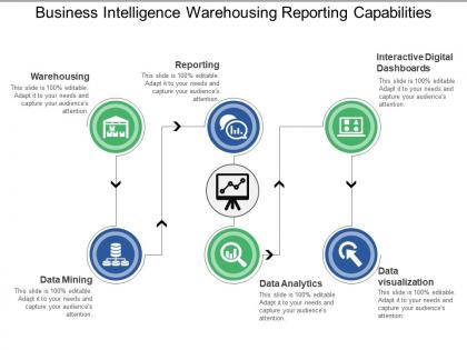 Business intelligence warehousing reporting capabilities