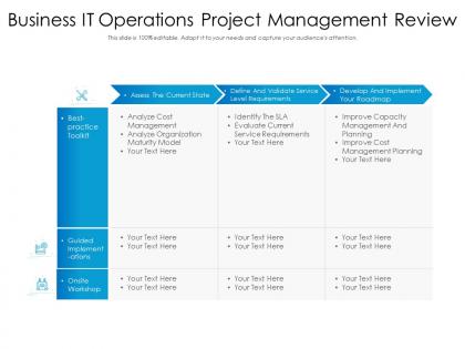 Business it operations project management review