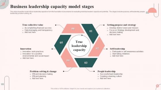 Business Leadership Capacity Model Stages