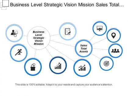 Business level strategic vision mission sales total assets