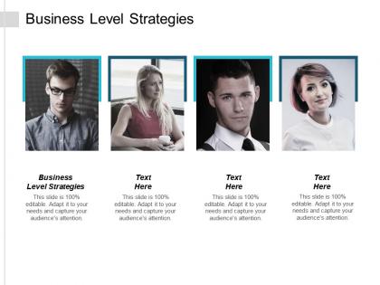 Business level strategies ppt powerpoint presentation ideas graphics design cpb
