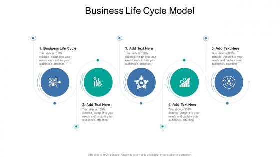 Business Life Cycle Model In Powerpoint And Google Slides Cpb