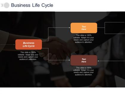 Business life cycle ppt powerpoint presentation gallery information cpb