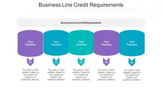 Business Line Credit Requirements Ppt Powerpoint Presentation Show Tips Cpb