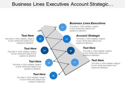Business lines executives account strategic collaboration promotion committee