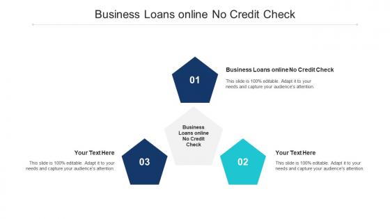 Business Loans Online No Credit Check Ppt Powerpoint Presentation Model Graphics Cpb