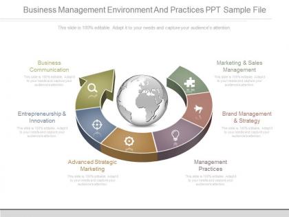 Business management environment and practices ppt sample file