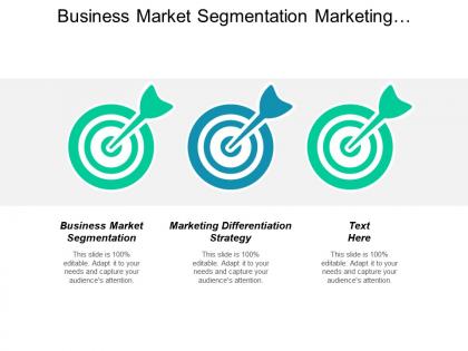 Business market segmentation marketing differentiation strategy personal development cpb