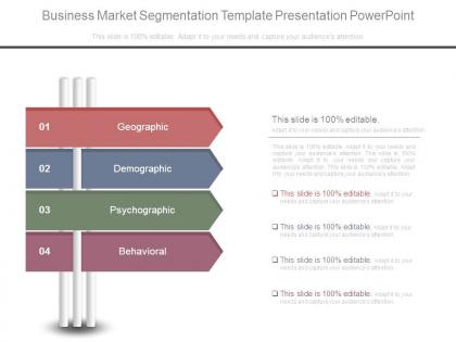Business market segmentation template presentation powerpoint