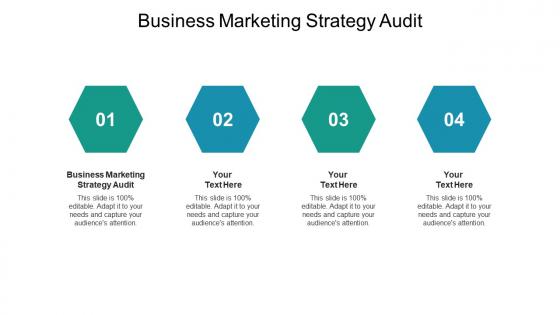 Business marketing strategy audit ppt powerpoint presentation professional files cpb