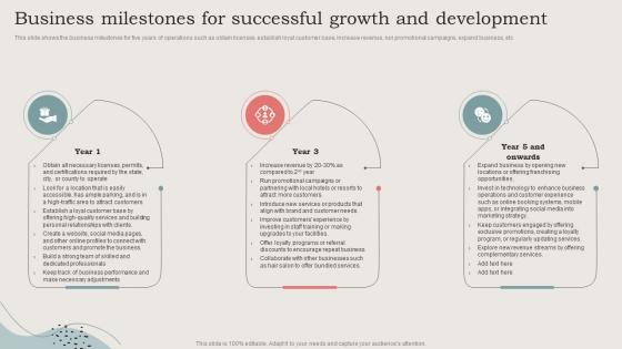 Business Milestones For Successful Growth And Development Ideal Image Medspa Business BP SS