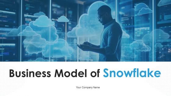 Business Model Of Snowflake Powerpoint Ppt Template Bundles BMC