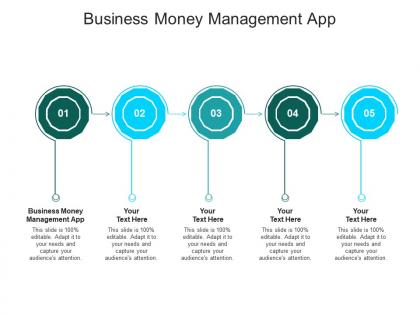 Business money management app ppt powerpoint presentation pictures gridlines cpb