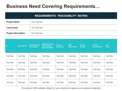 Business need covering requirements description project objectives
