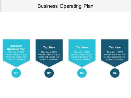 Business operating plan ppt powerpoint presentation file inspiration cpb