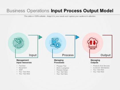 Business operations input process output model