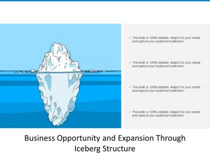 Business opportunity and expansion through iceberg structure