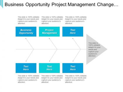 Business opportunity project management change management internet marketing cpb