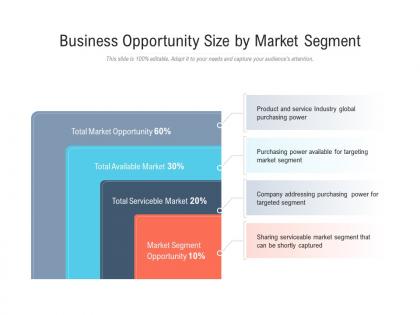 Business opportunity size by market segment