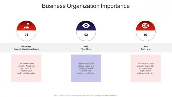 Business Organization Importance In Powerpoint And Google Slides Cpb