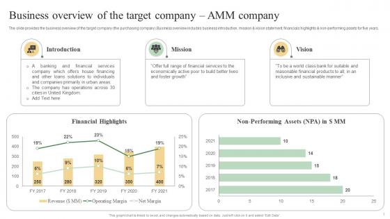 Business Overview Of The Target Company AMM Company Sell Side Deal Pitchbook With Potential