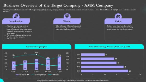 Business Overview Of The Target Company Amm Company Sell Side M And A Pitch Book