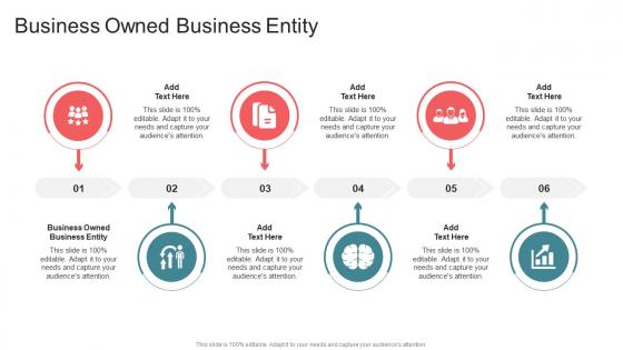 Business Owned Business Entity In Powerpoint And Google Slides Cpb