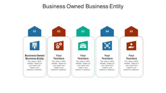 Business owned business entity ppt powerpoint presentation inspiration backgrounds cpb