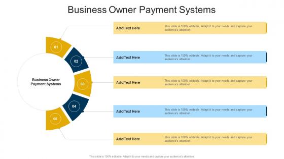 Business Owner Payment Systems In Powerpoint And Google Slides Cpb