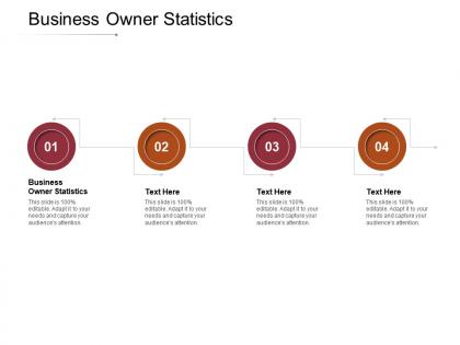 Business owner statistics ppt powerpoint presentation styles show cpb