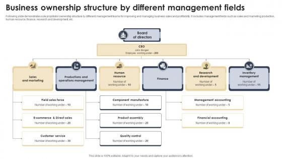 Business Ownership Structure By Different Management Fields