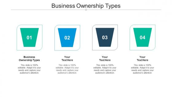Business ownership types ppt powerpoint presentation file templates cpb